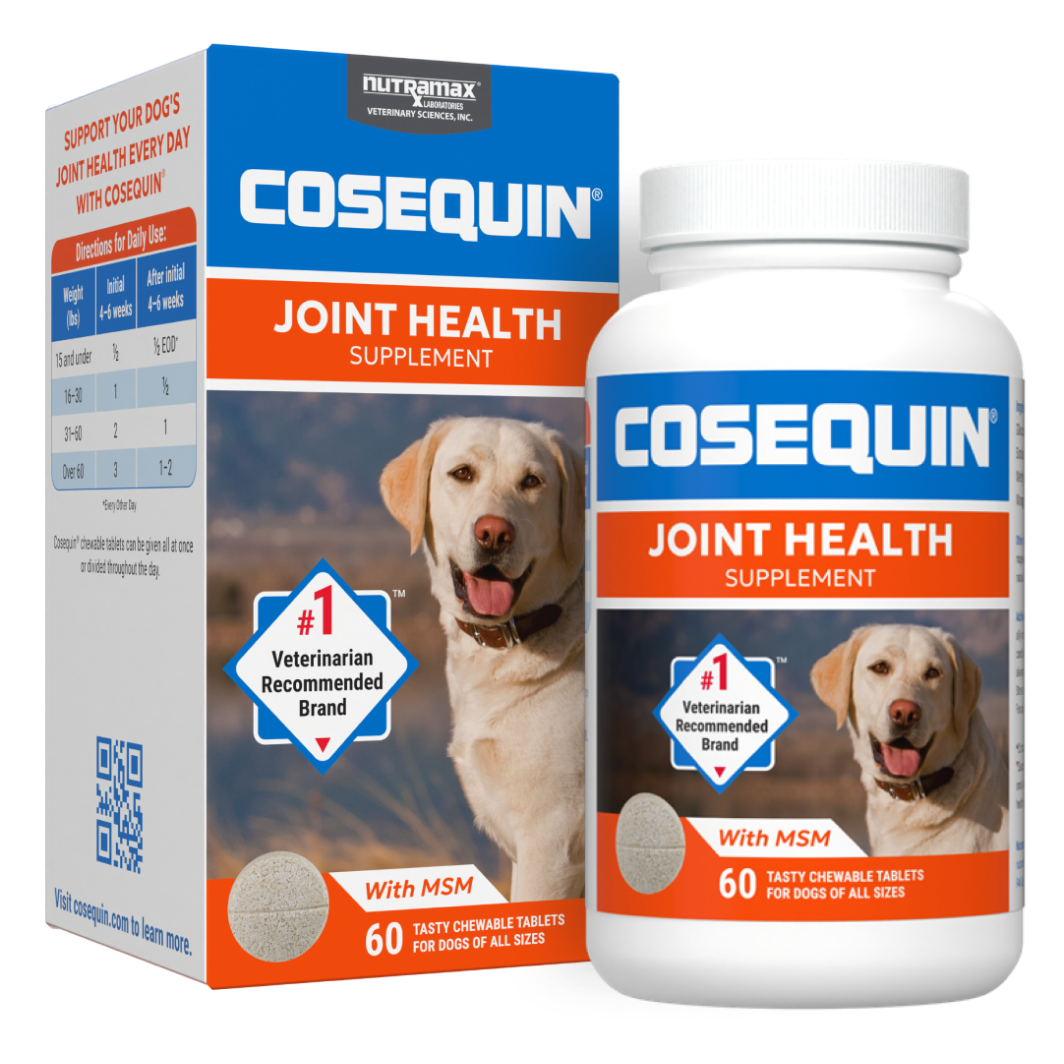 Joint health supplements for dogs best sale