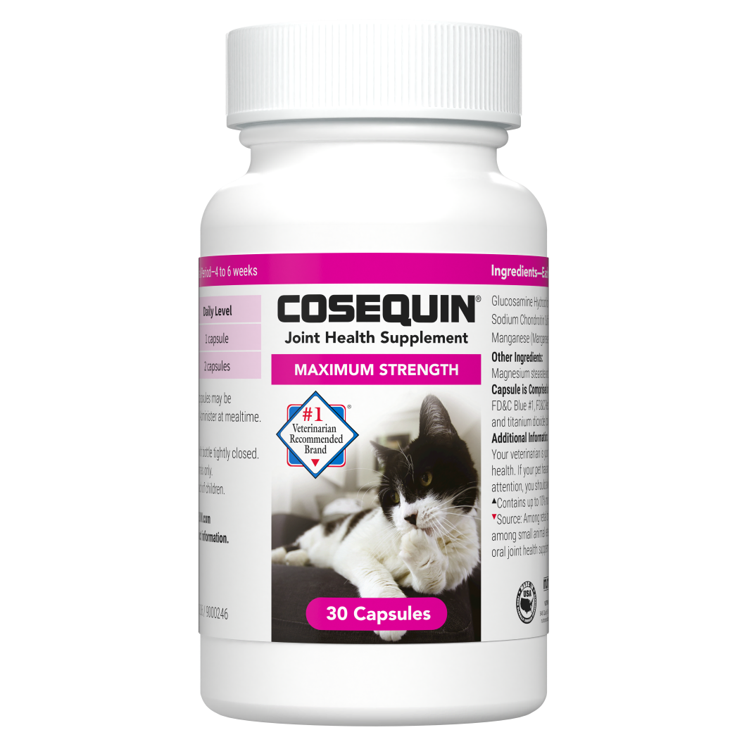 Nutramax Cosequin Maximum Strength