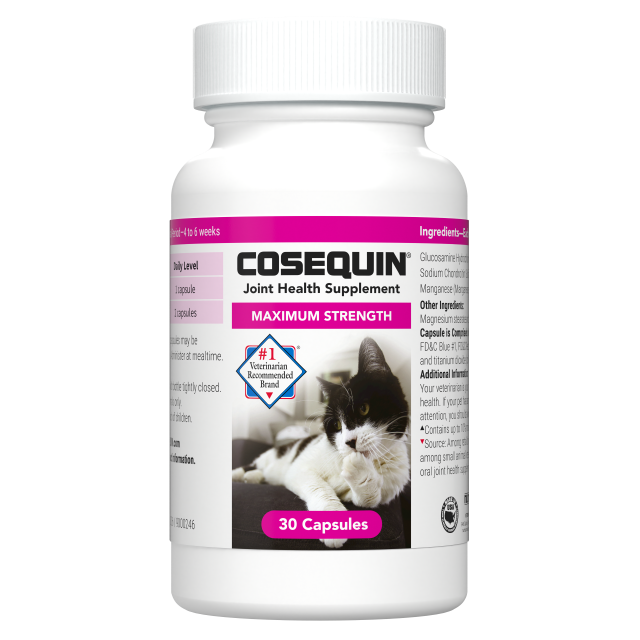 Cosequin soft chews for cats hotsell