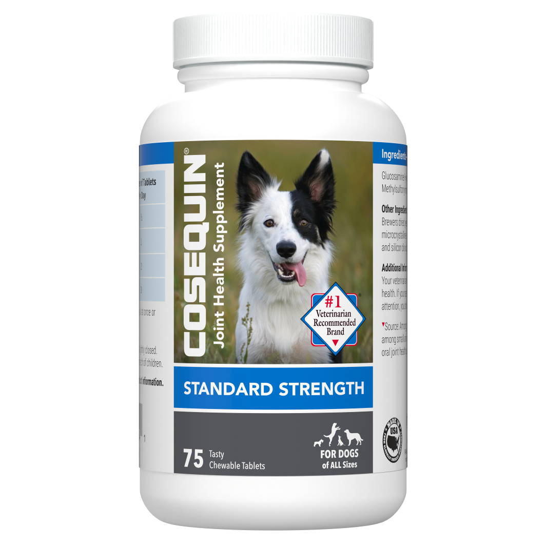 コセクイン　COSEQUIN+MSM　180錠×2 Cosequin Maximum Strength with MSM Glucosamine, Chondroitin