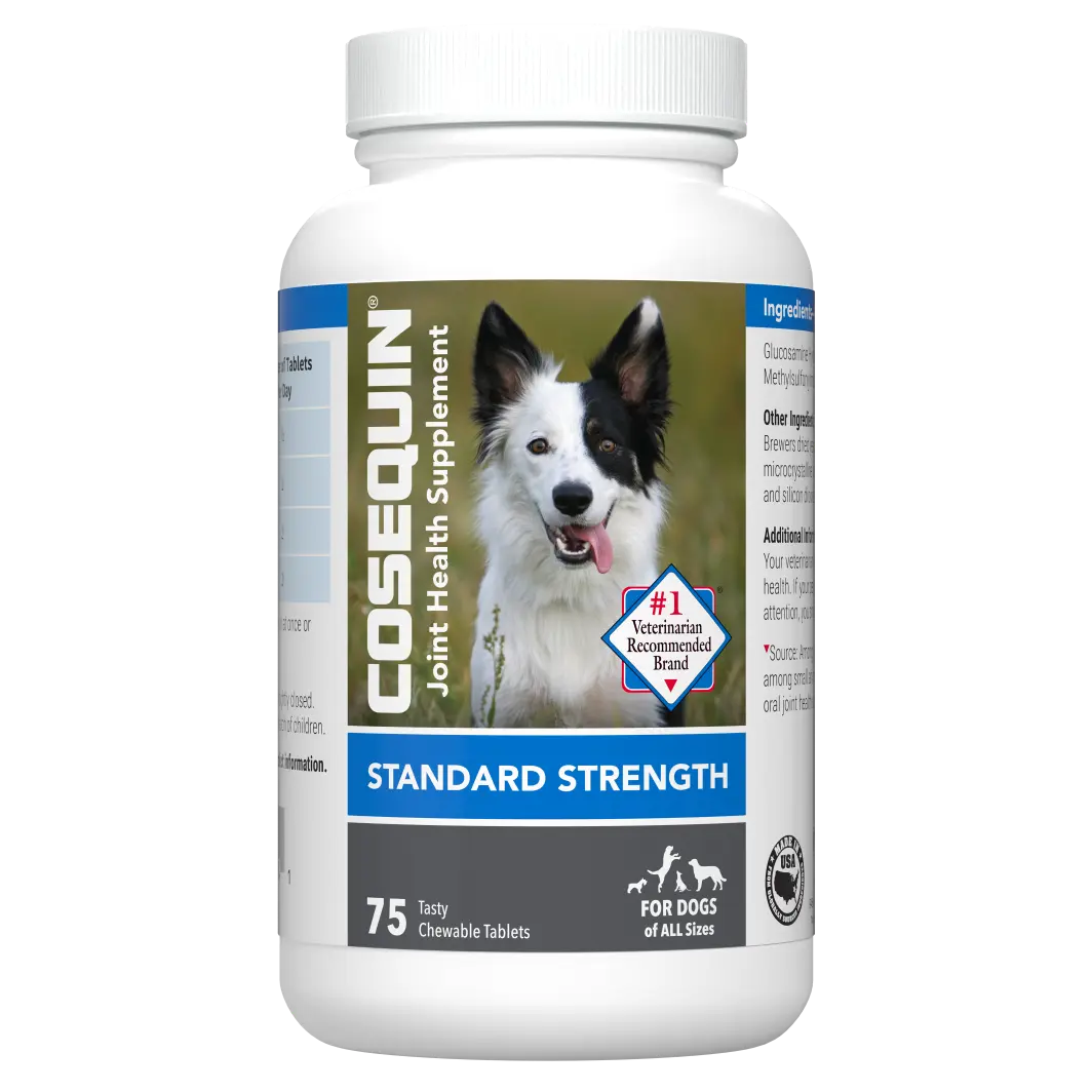 コセクイン　COSEQUIN+MSM　180錠×2 Cosequin® Chewable Tablets Plus MSM Joint Support for Dogs