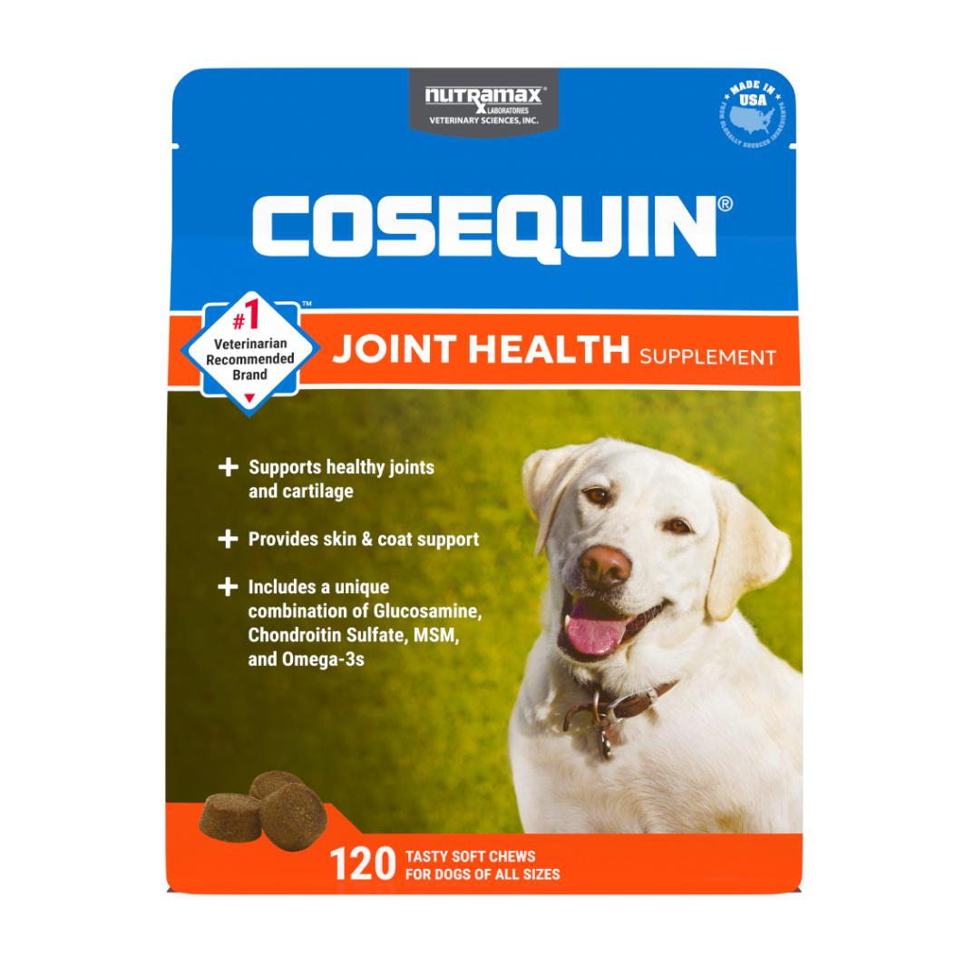 Best joint supplement for large dogs best sale