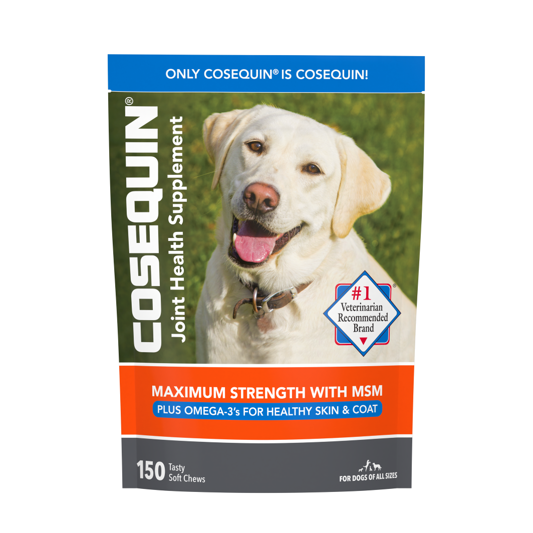 Chewy cosequin for dogs hotsell