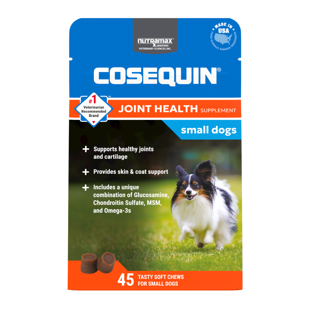 Cosamine for fashion dogs