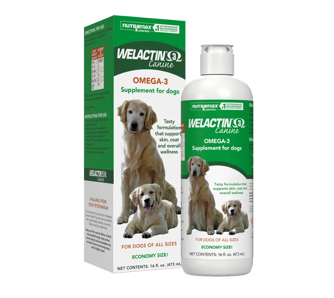 glutathione gel for dogs Extreme Glutathione Injection Whitening Shower Cream