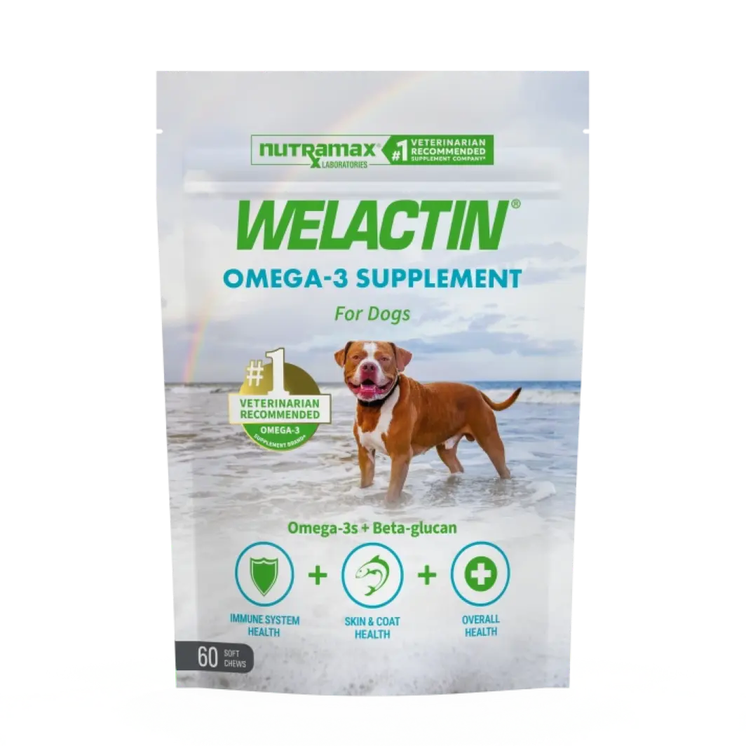 Welactin® Omega-3 Soft Chews for Dogs | Plus Immune Support