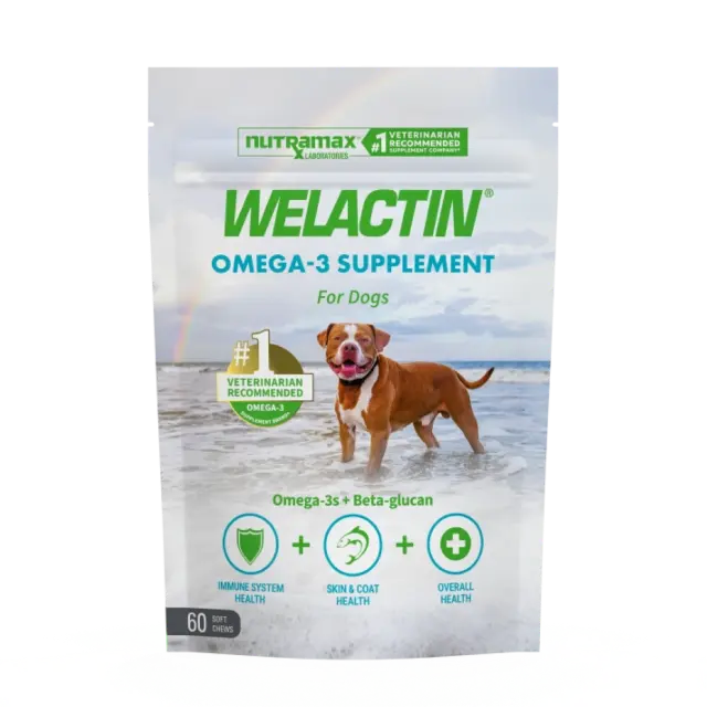 Welactin-Soft-Chew-640_2.webp