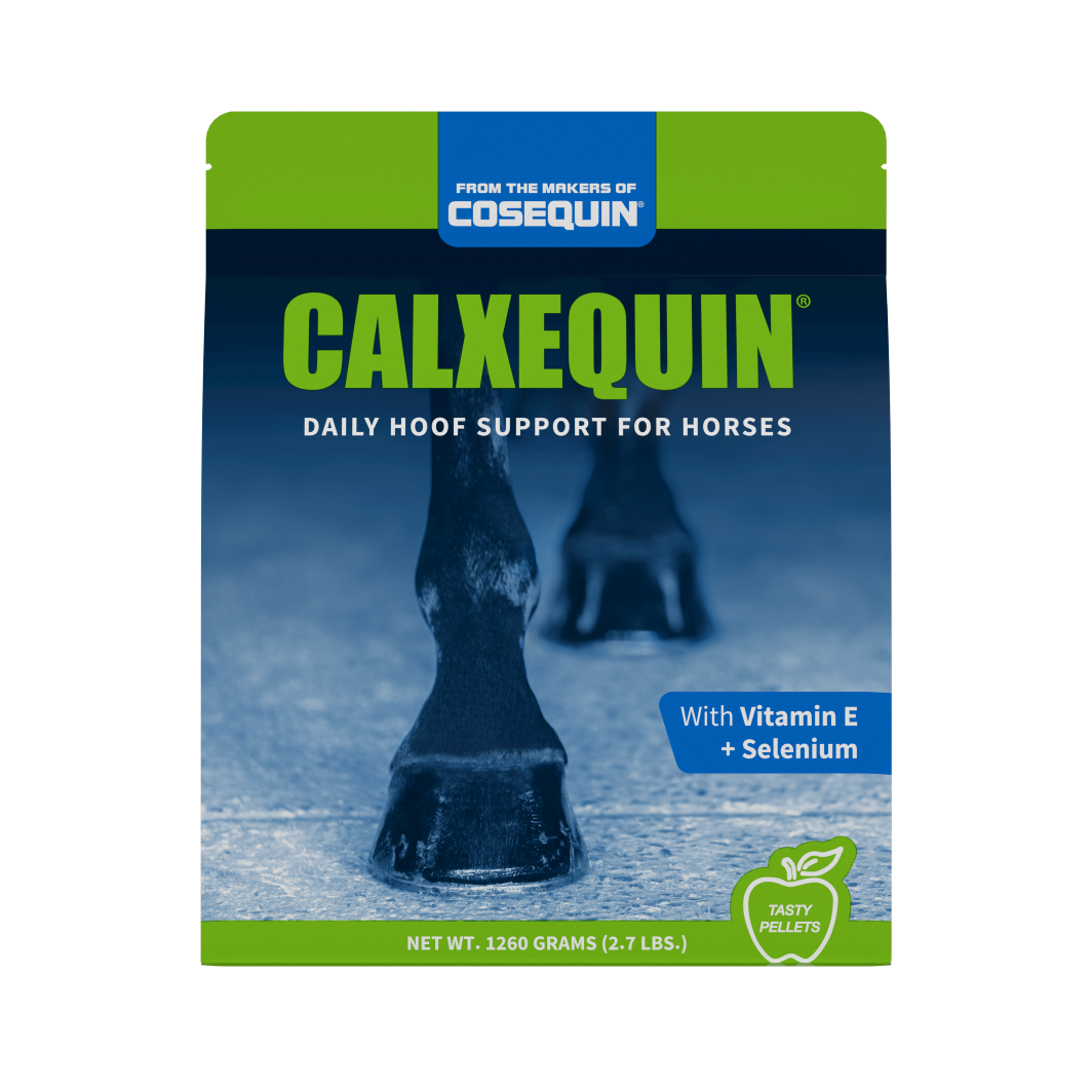 Calxequin Product Shot